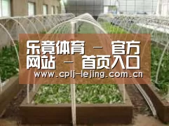 环境展示五