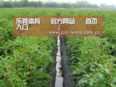 种植基地三