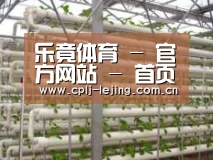 环境展示六