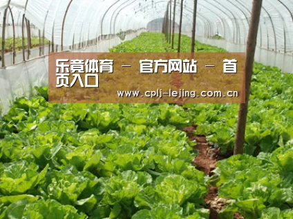 种植基地五