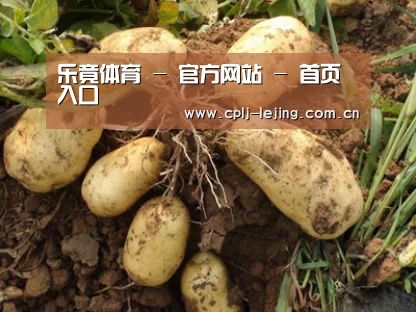 种植基地六