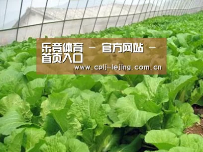 种植基地一