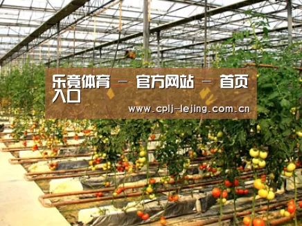 种植基地二(图1)