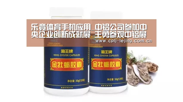 乐竟体育手机应用_中铝公司参加中央企业创新成就展 王勇参观中铝展厅(图2) 乐竟体育手机应用